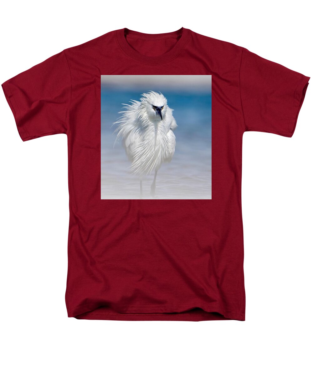 Elegant White Egret in Water - Men's T-Shirt  (Regular Fit)