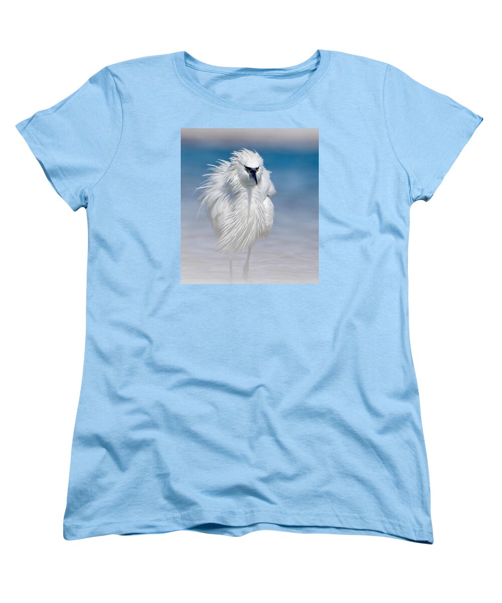 Elegant White Egret in Water - Women's T-Shirt (Standard Fit)