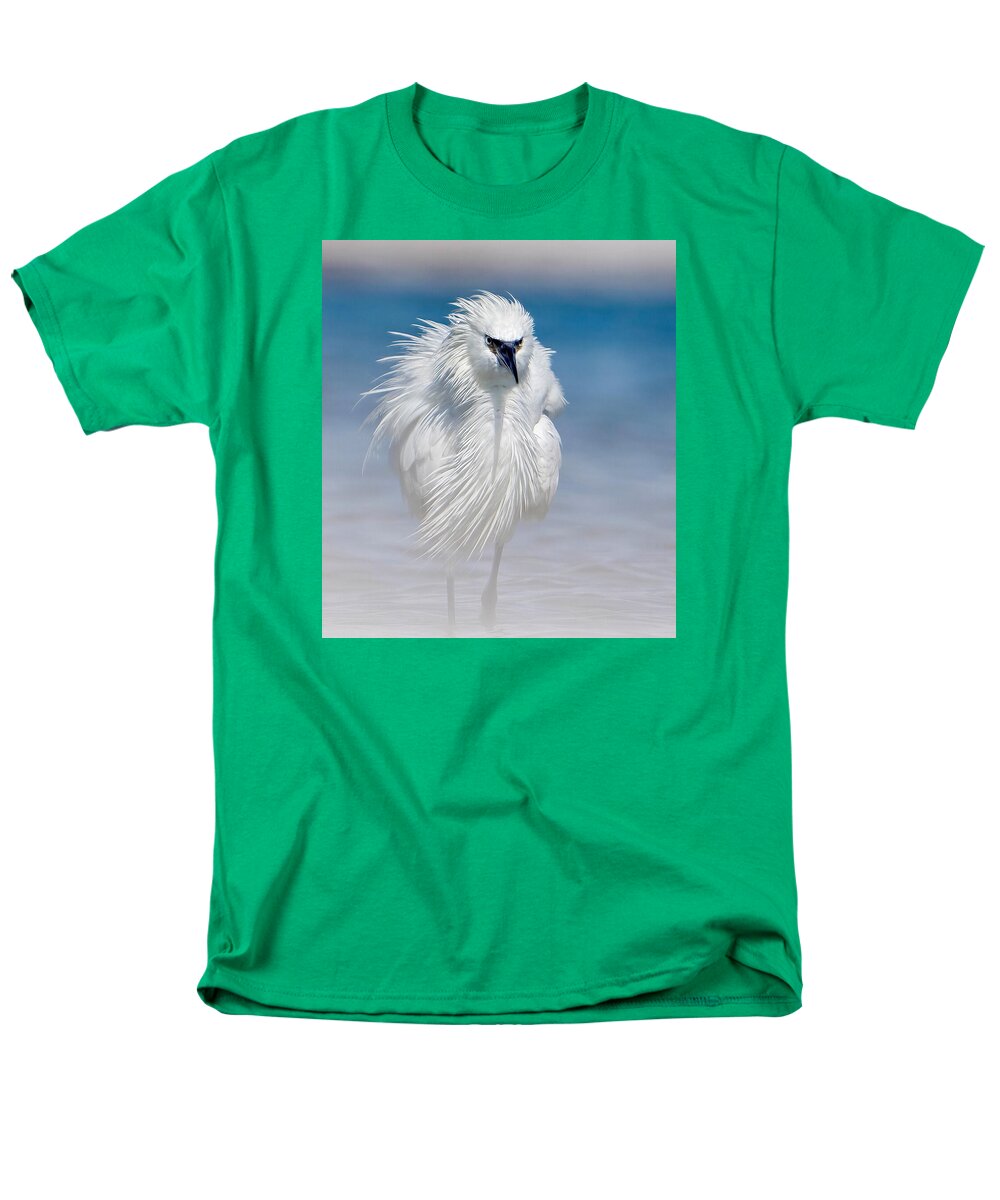 Elegant White Egret in Water - Men's T-Shirt  (Regular Fit)