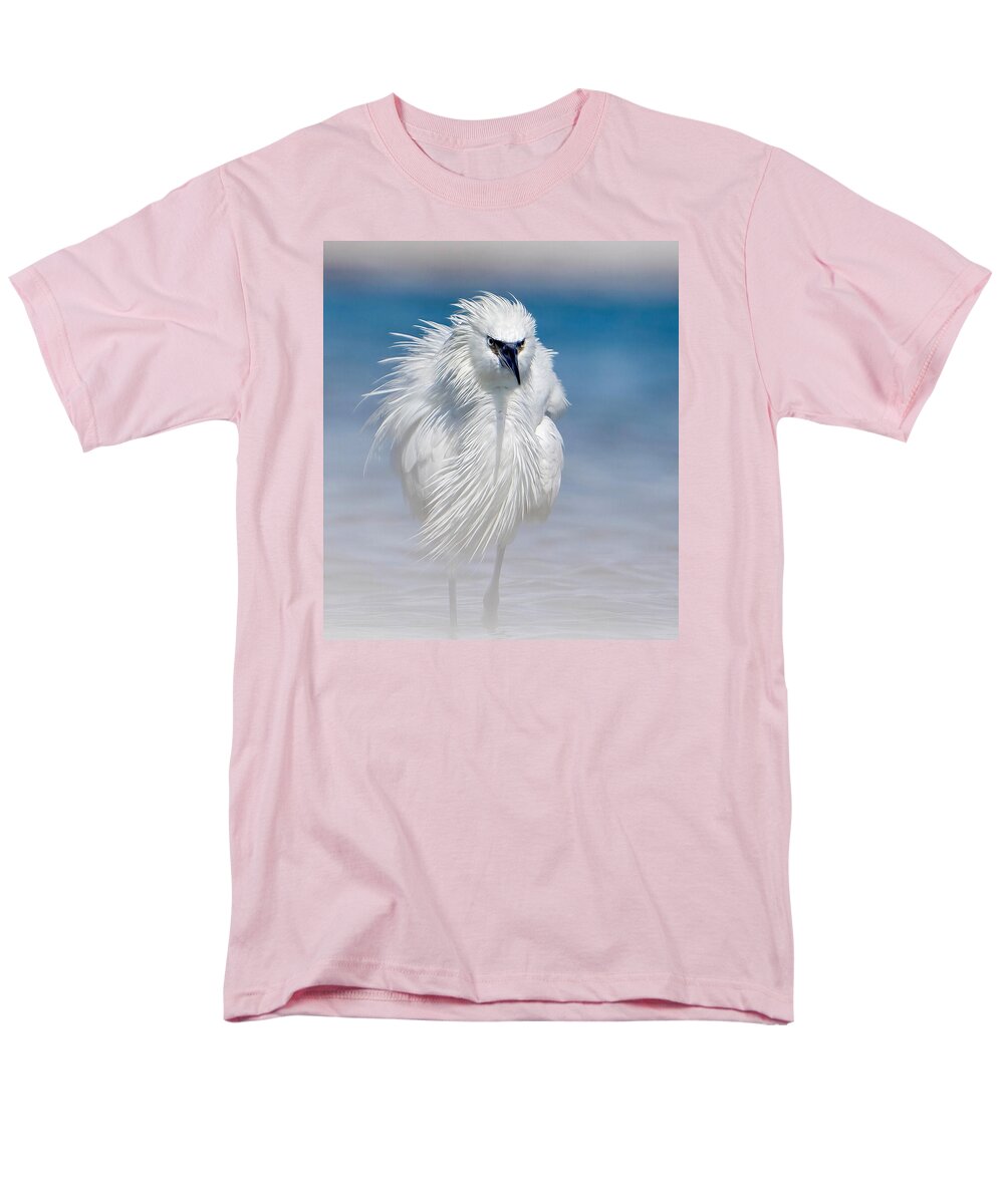 Elegant White Egret in Water - Men's T-Shirt  (Regular Fit)