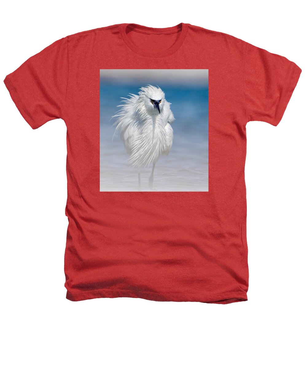 Elegant White Egret in Water - Heathers T-Shirt