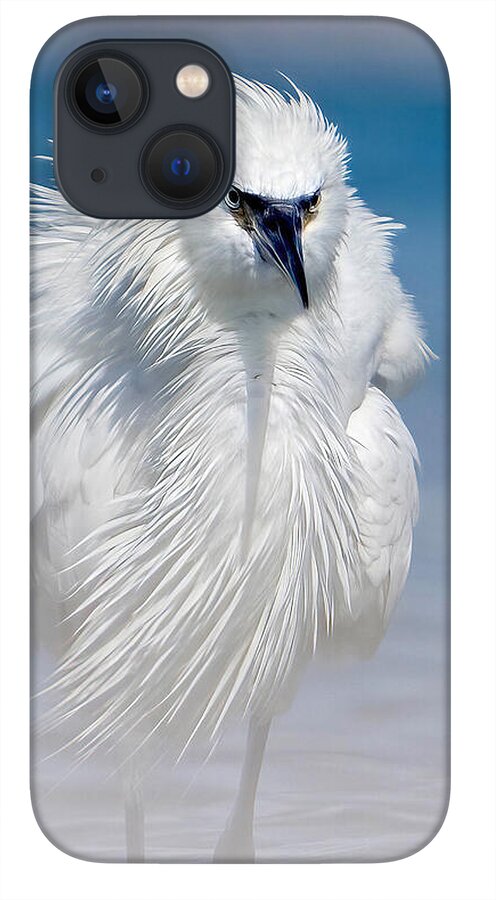 Elegant White Egret in Water - Phone Case