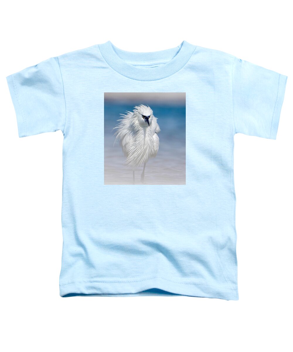 Elegant White Egret in Water - Toddler T-Shirt