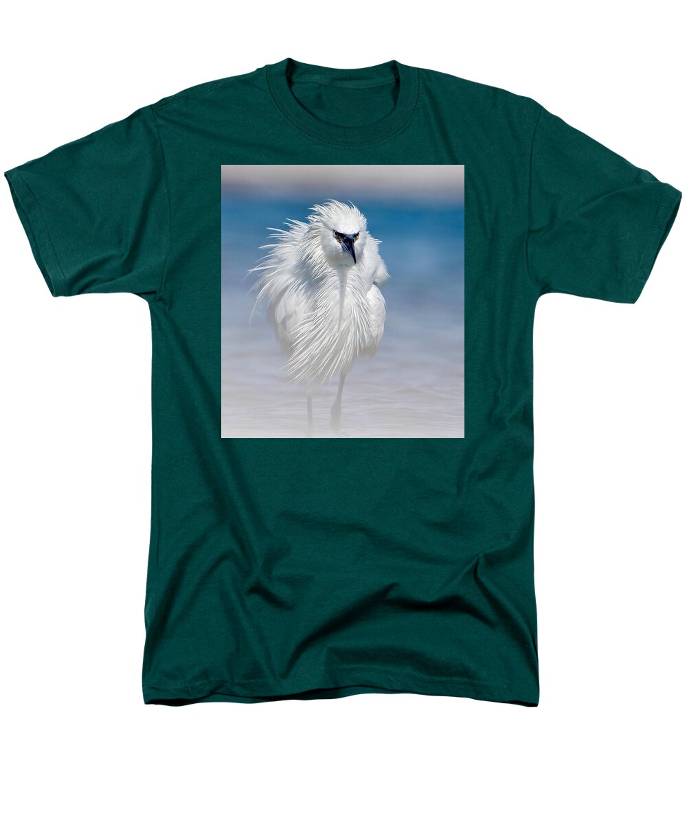 Elegant White Egret in Water - Men's T-Shirt  (Regular Fit)