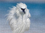 Elegant White Egret in Water - Puzzle