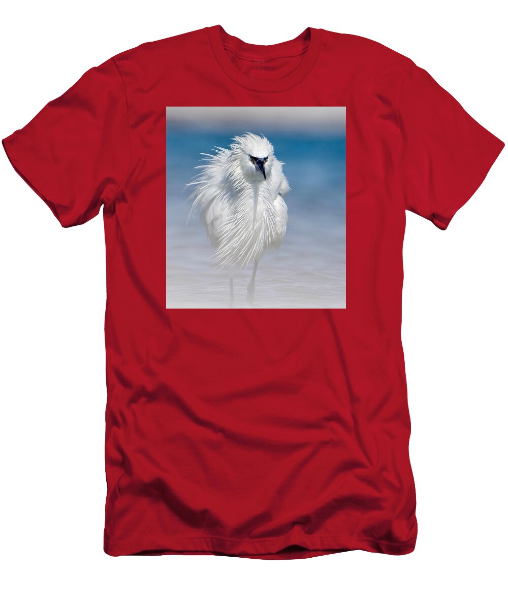 Elegant White Egret in Water - T-Shirt
