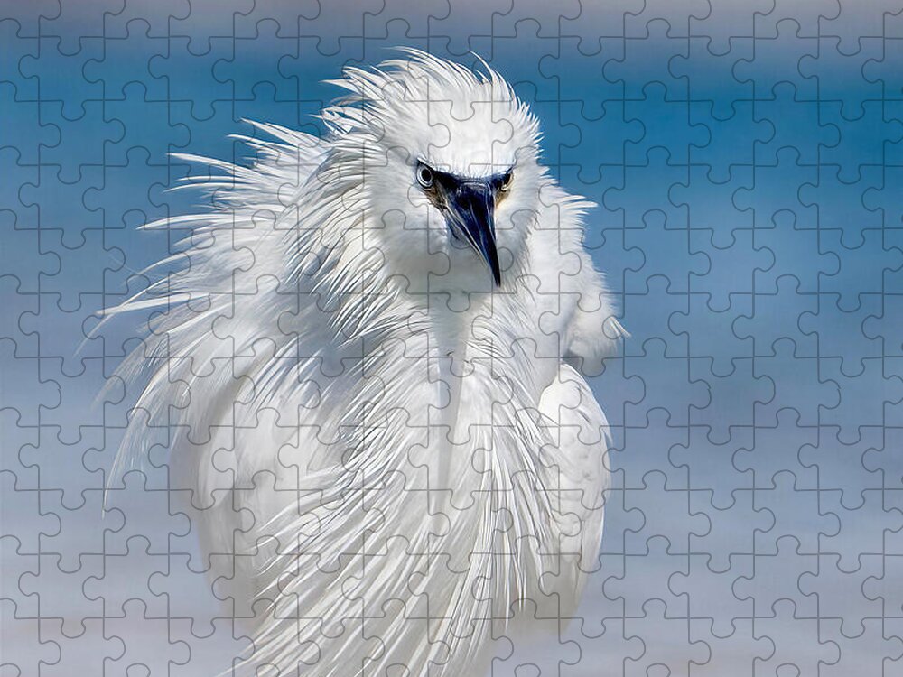 Elegant White Egret in Water - Puzzle