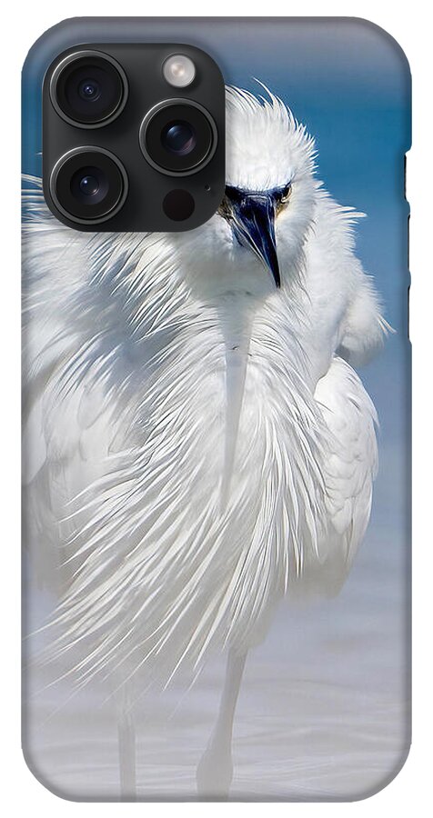 Elegant White Egret in Water - Phone Case