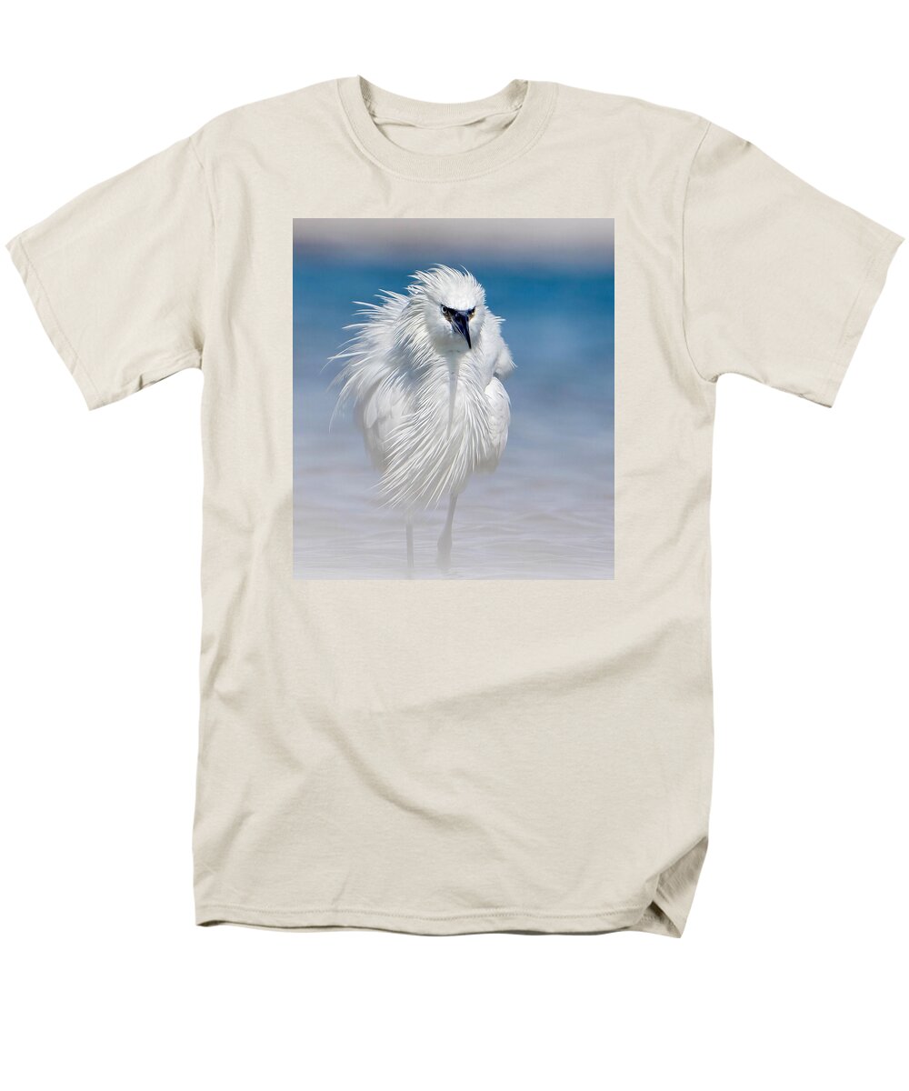 Elegant White Egret in Water - Men's T-Shirt  (Regular Fit)