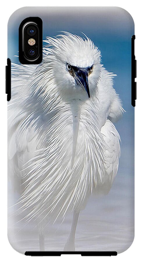 Elegant White Egret in Water - Phone Case