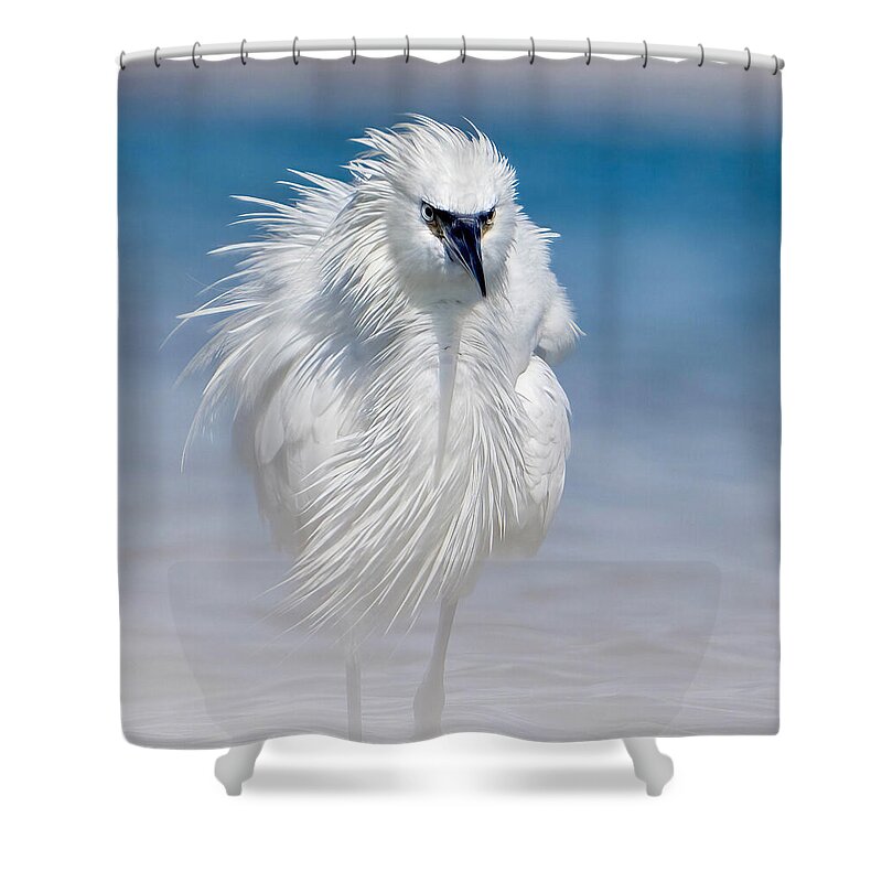 Elegant White Egret in Water - Shower Curtain