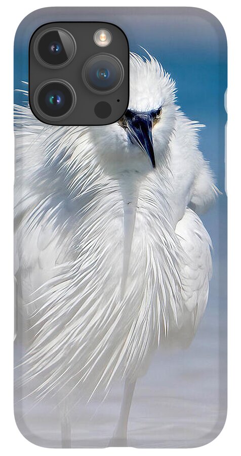 Elegant White Egret in Water - Phone Case