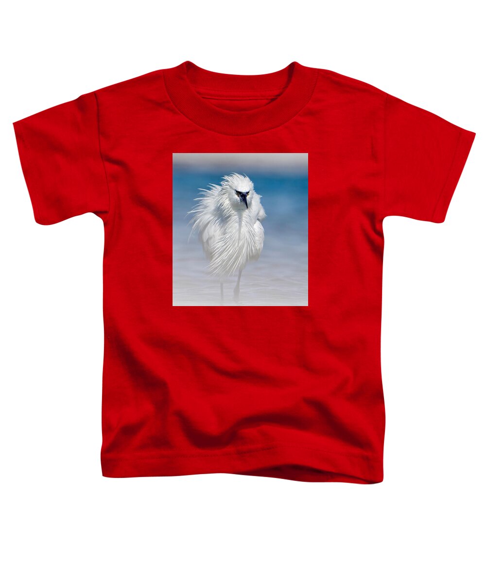 Elegant White Egret in Water - Toddler T-Shirt