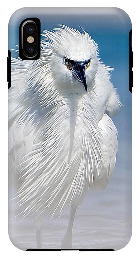 Elegant White Egret in Water - Phone Case