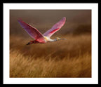Golden Dream - Framed Print