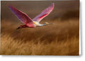 Golden Dream - Greeting Card