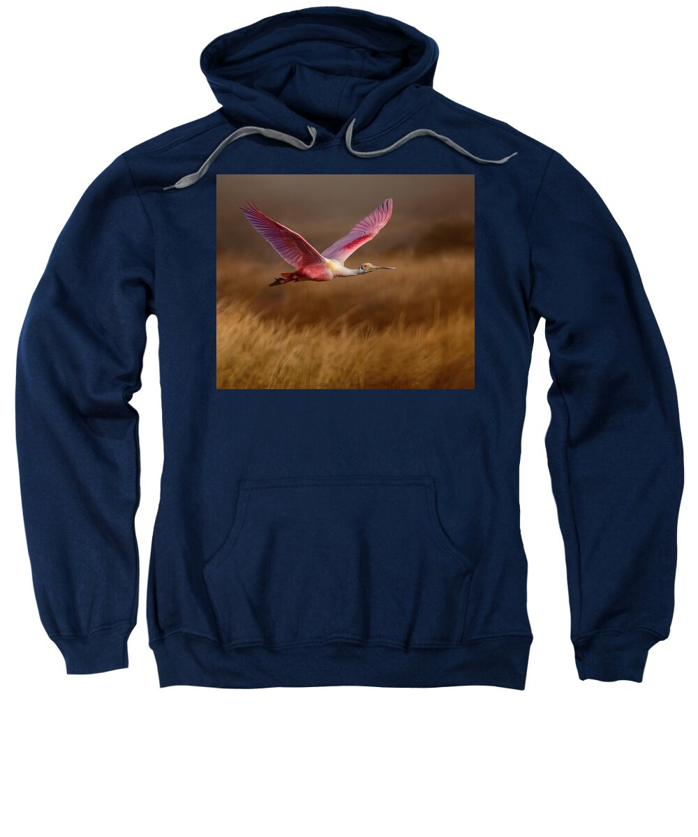 Golden Dream - Sweatshirt