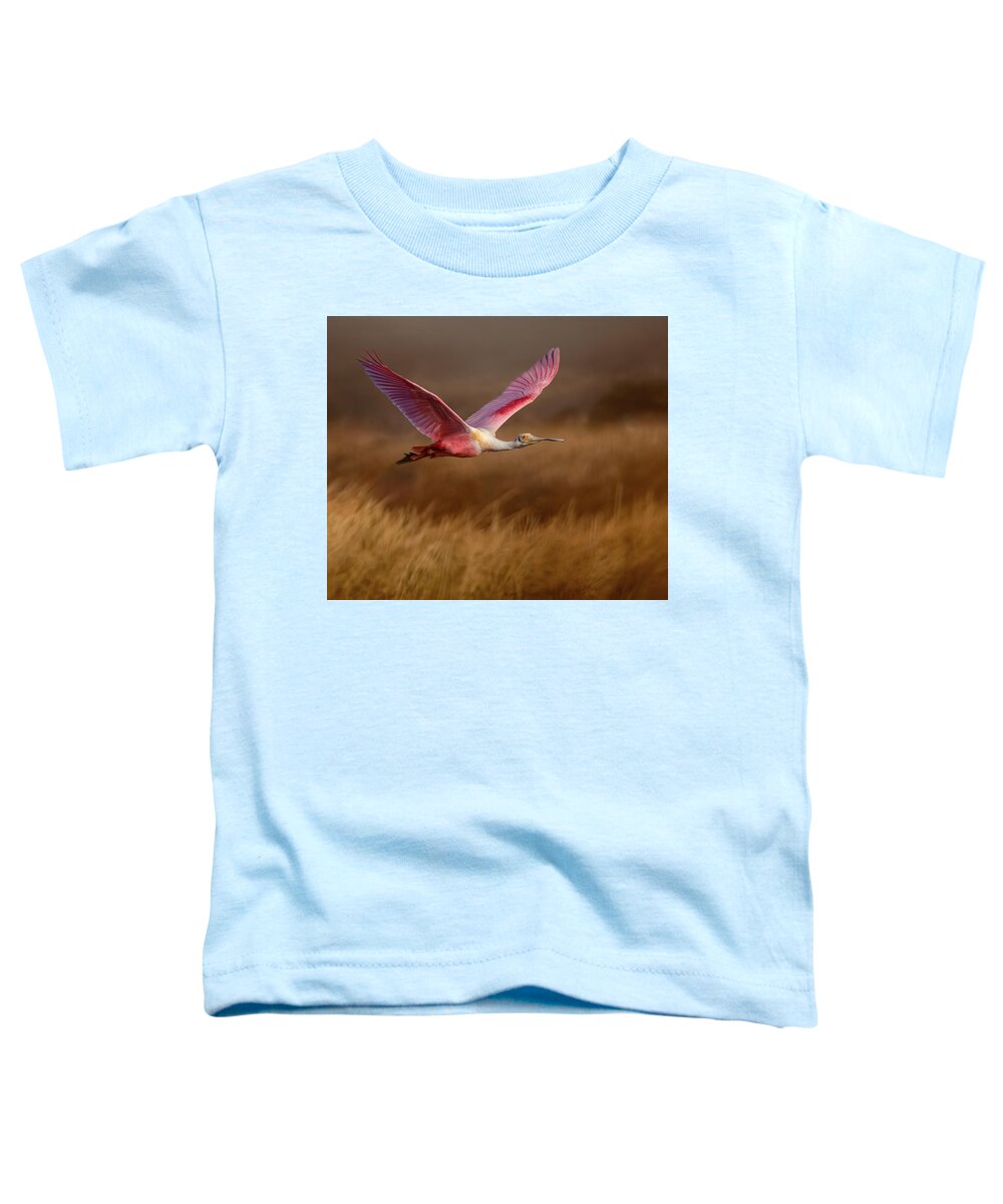 Golden Dream - Toddler T-Shirt