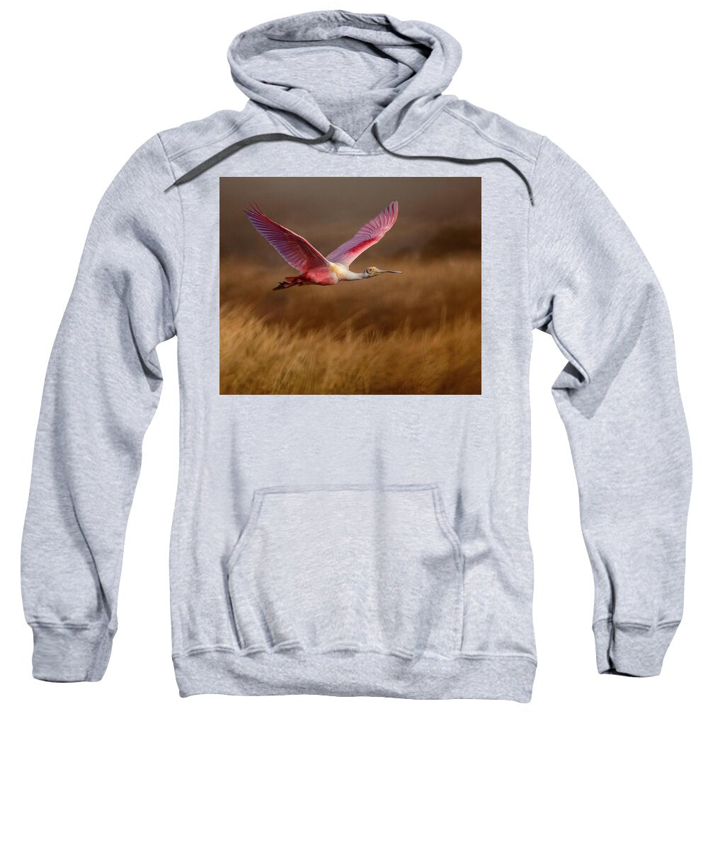 Golden Dream - Sweatshirt