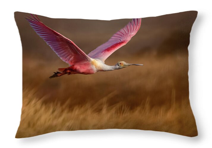 Golden Dream - Throw Pillow