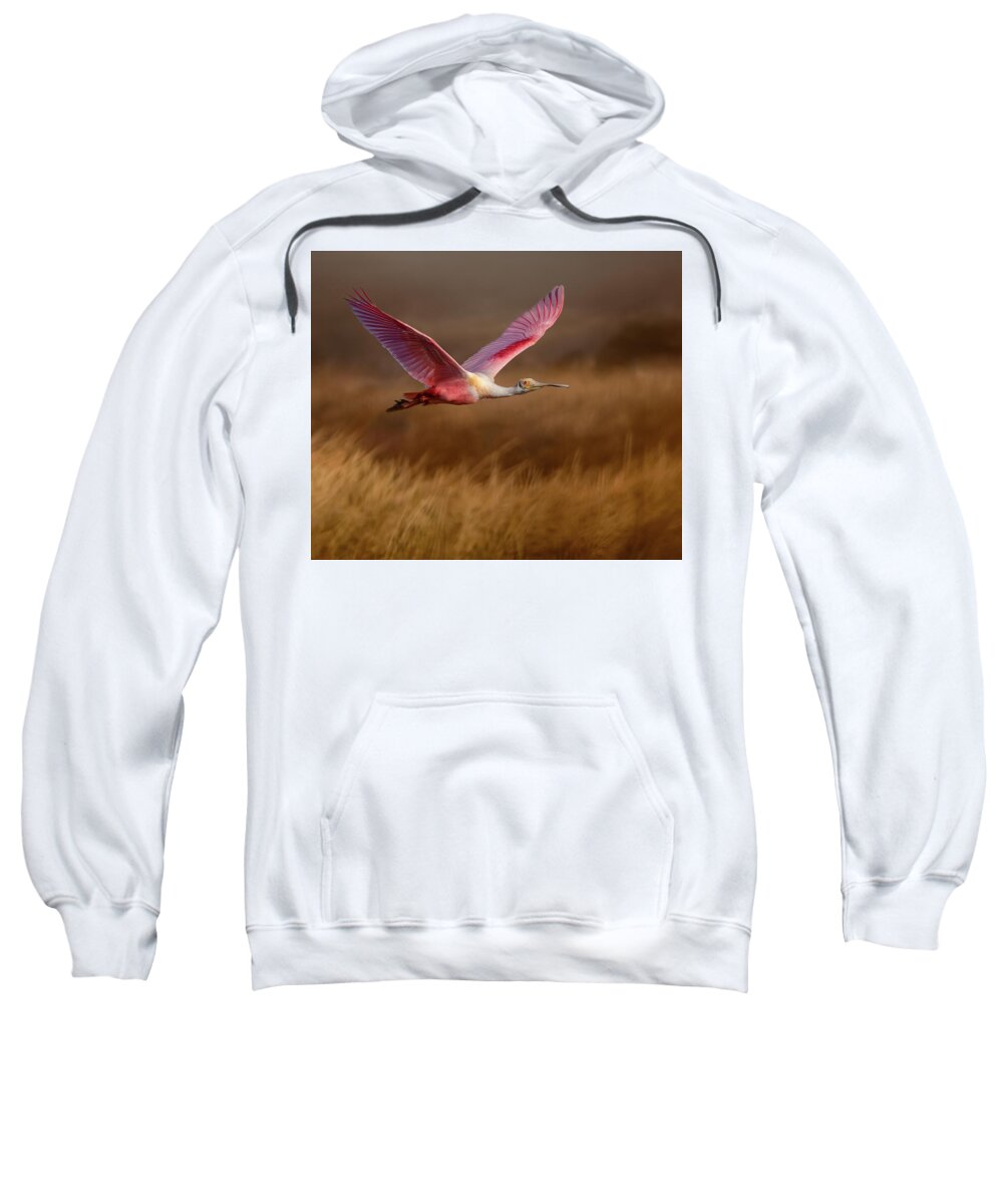 Golden Dream - Sweatshirt