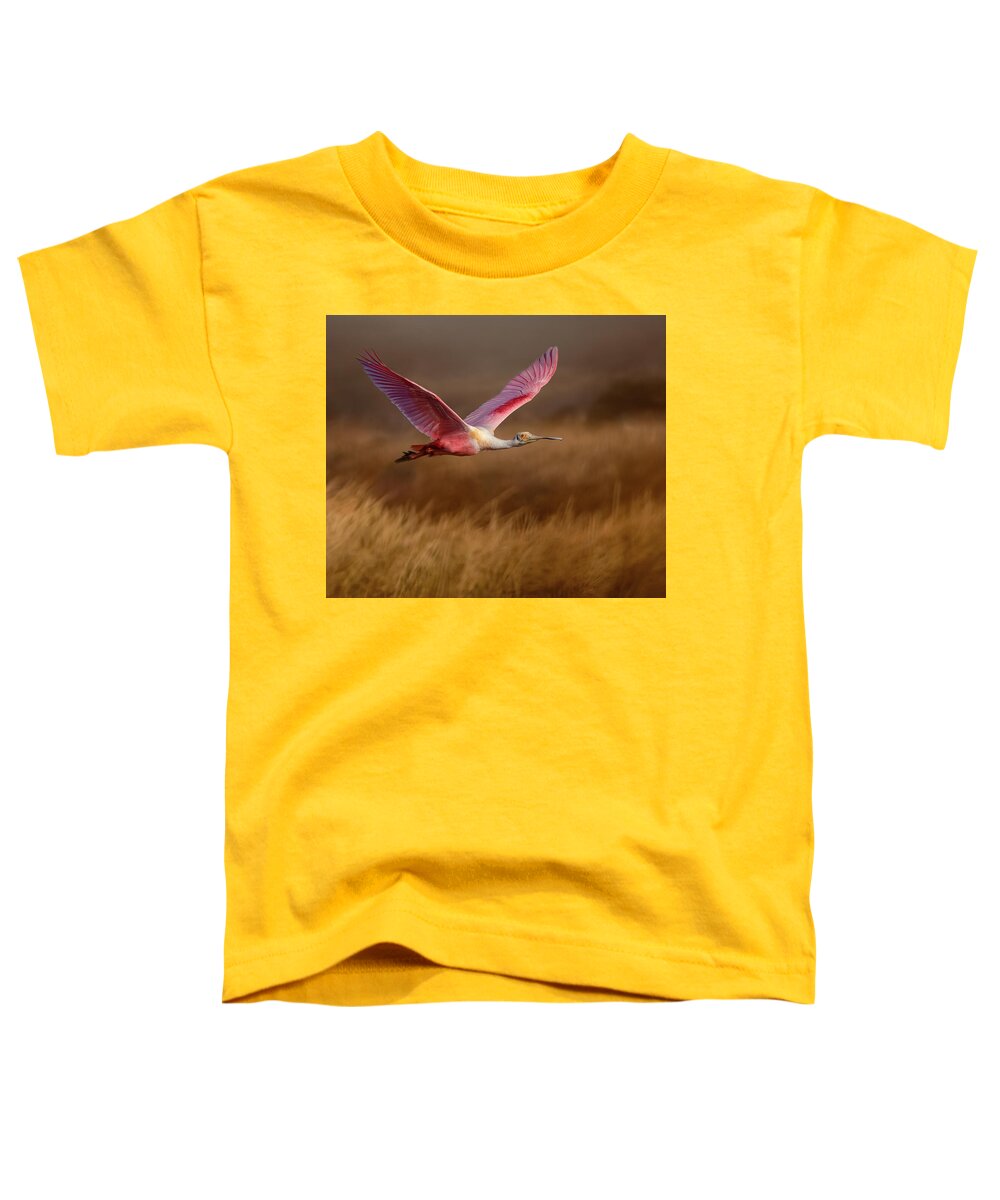 Golden Dream - Toddler T-Shirt