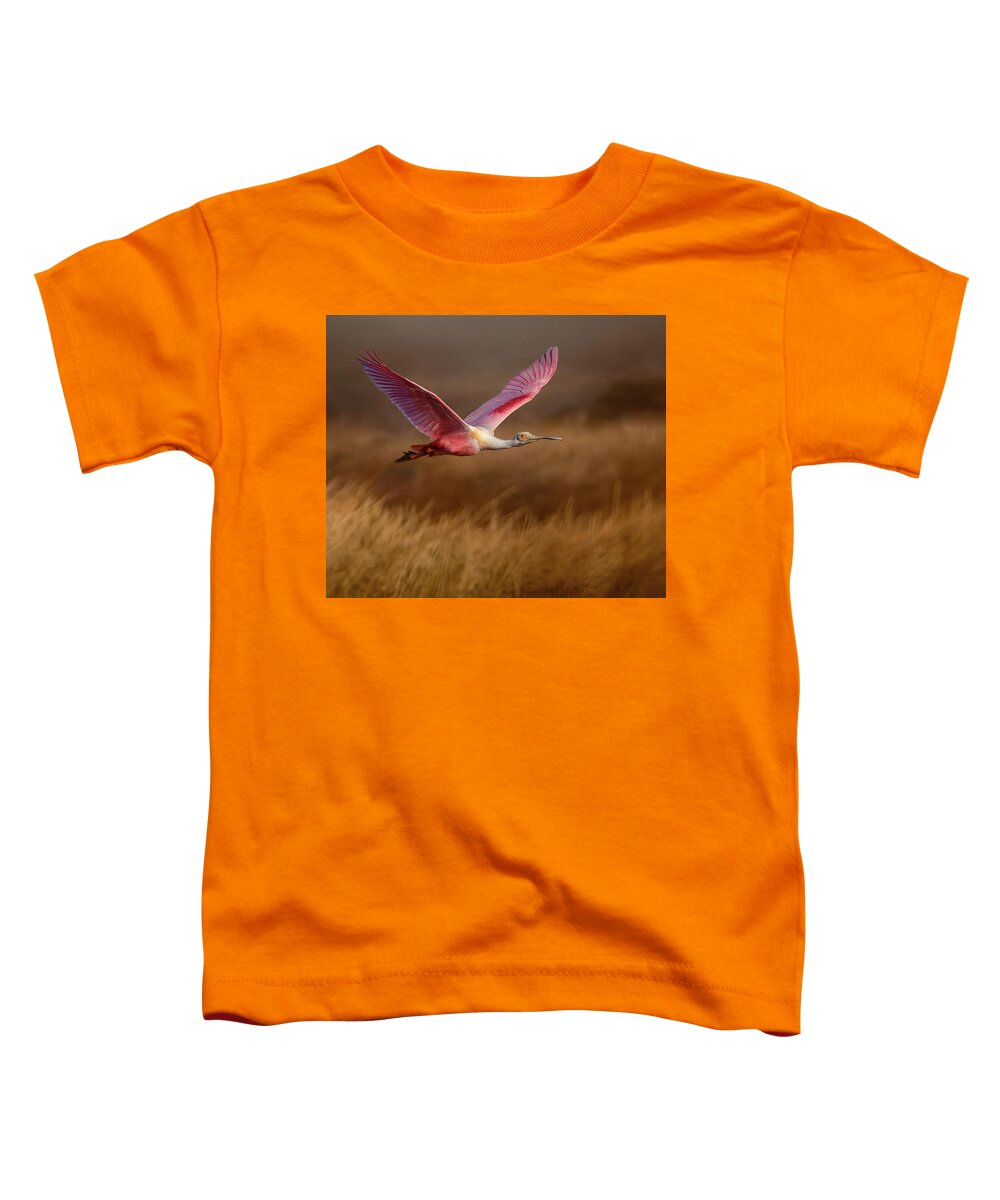 Golden Dream - Toddler T-Shirt