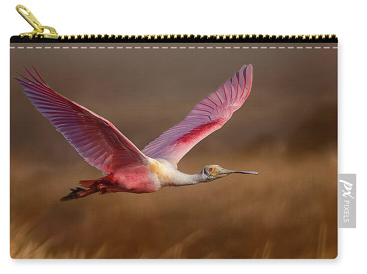 Golden Dream - Zip Pouch