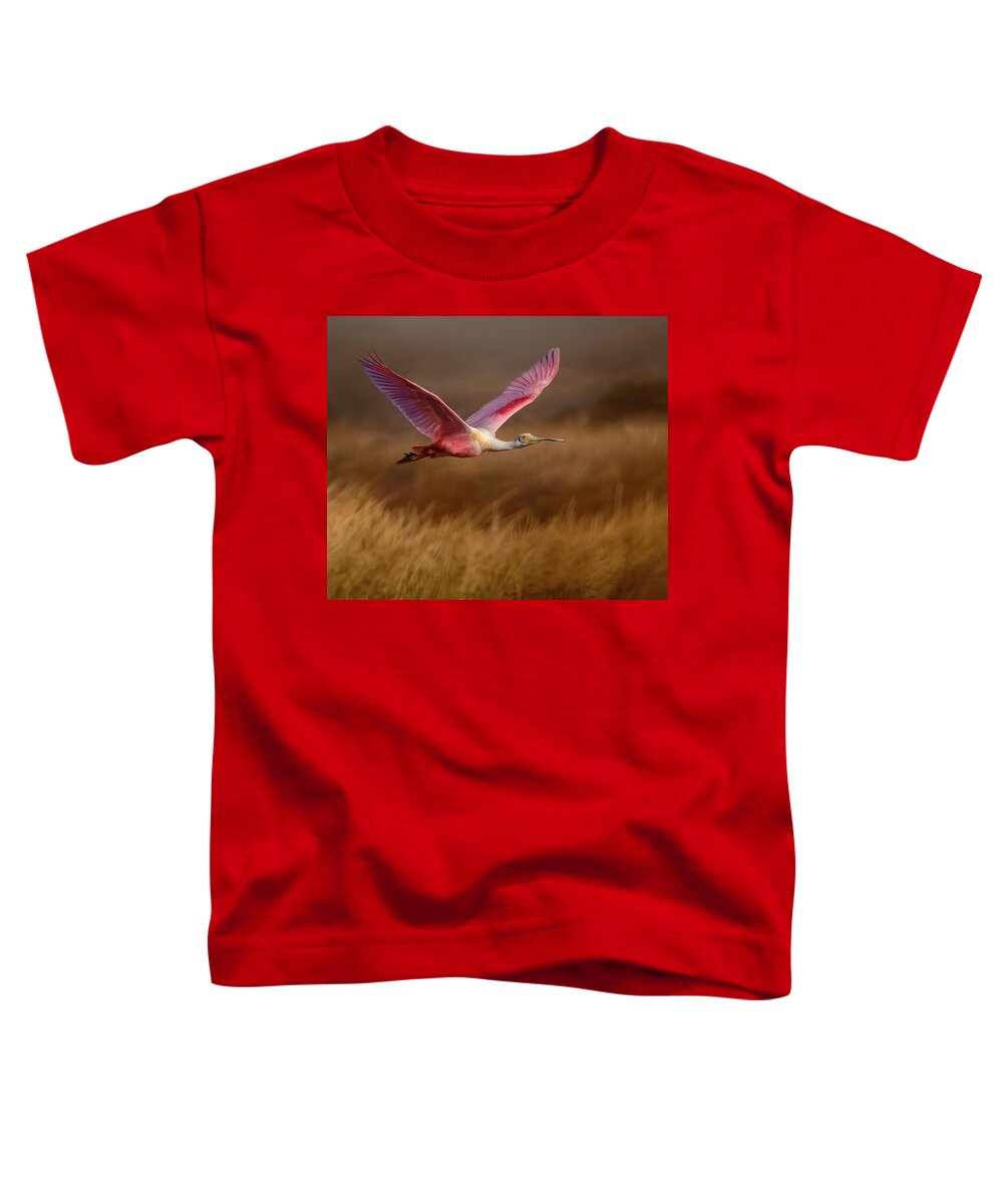Golden Dream - Toddler T-Shirt
