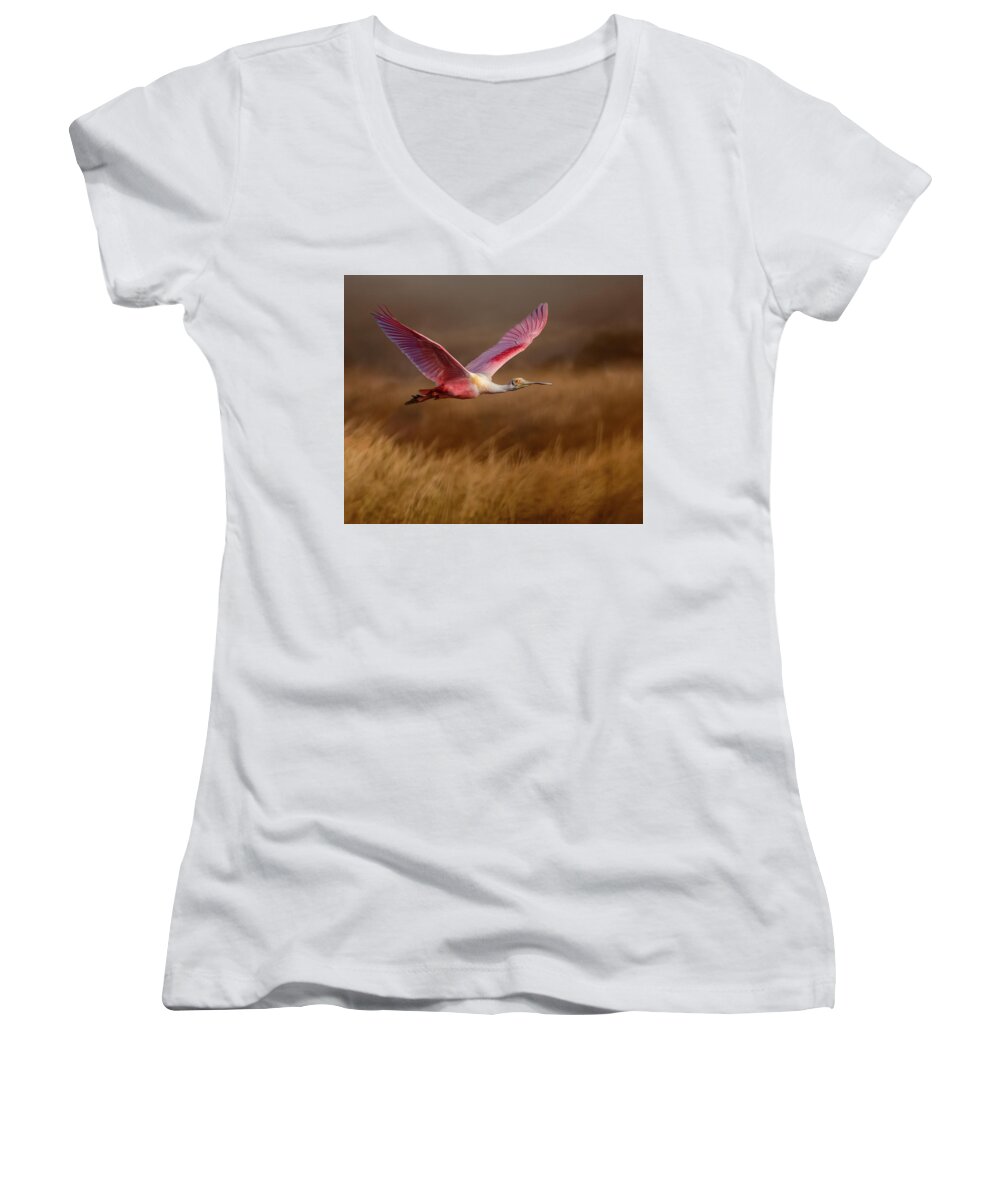 Golden Dream - Women's V-Neck