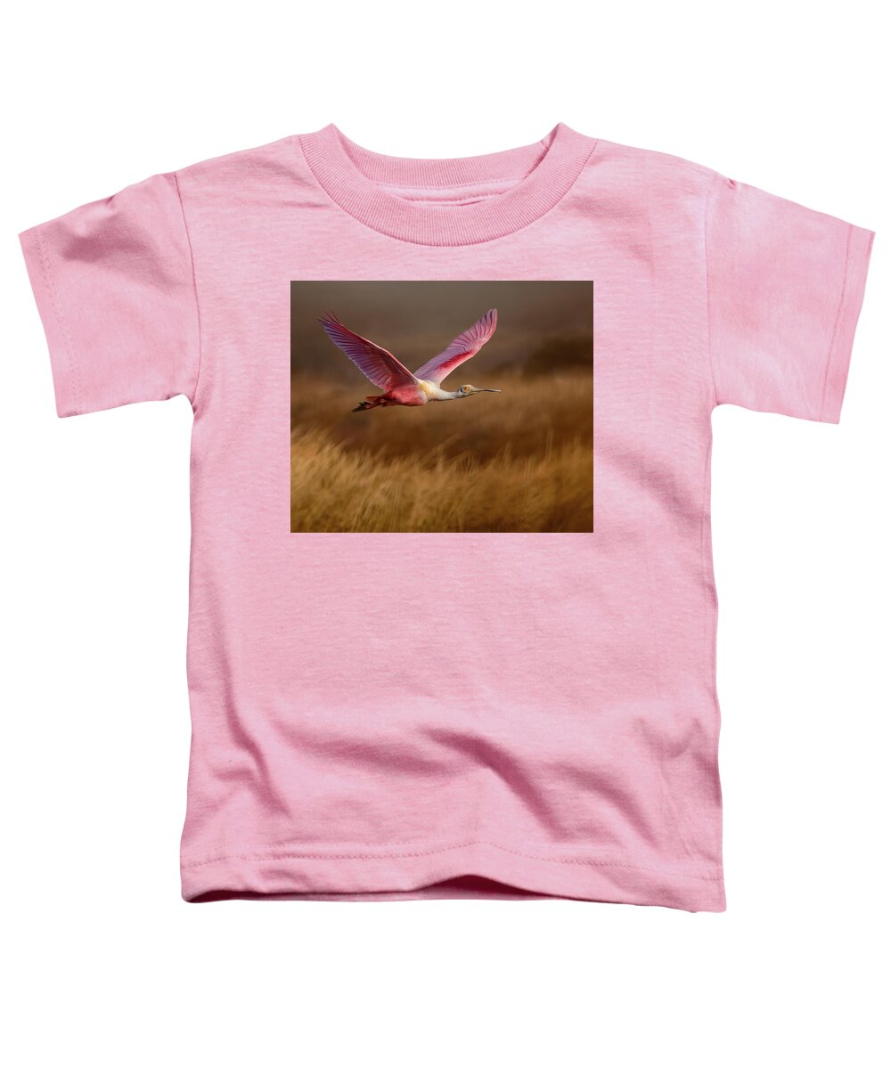 Golden Dream - Toddler T-Shirt