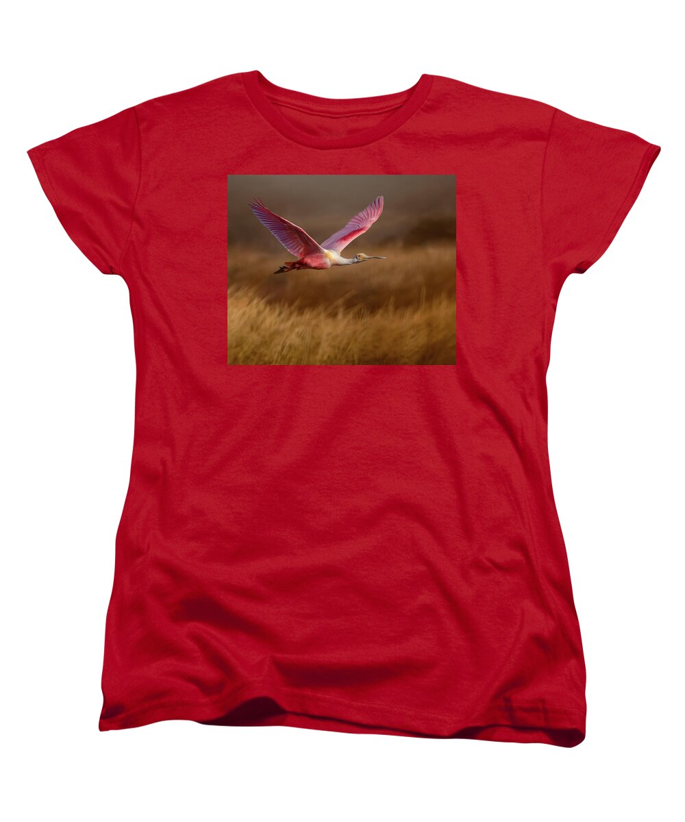 Golden Dream - Women's T-Shirt (Standard Fit)