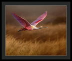 Golden Dream - Framed Print