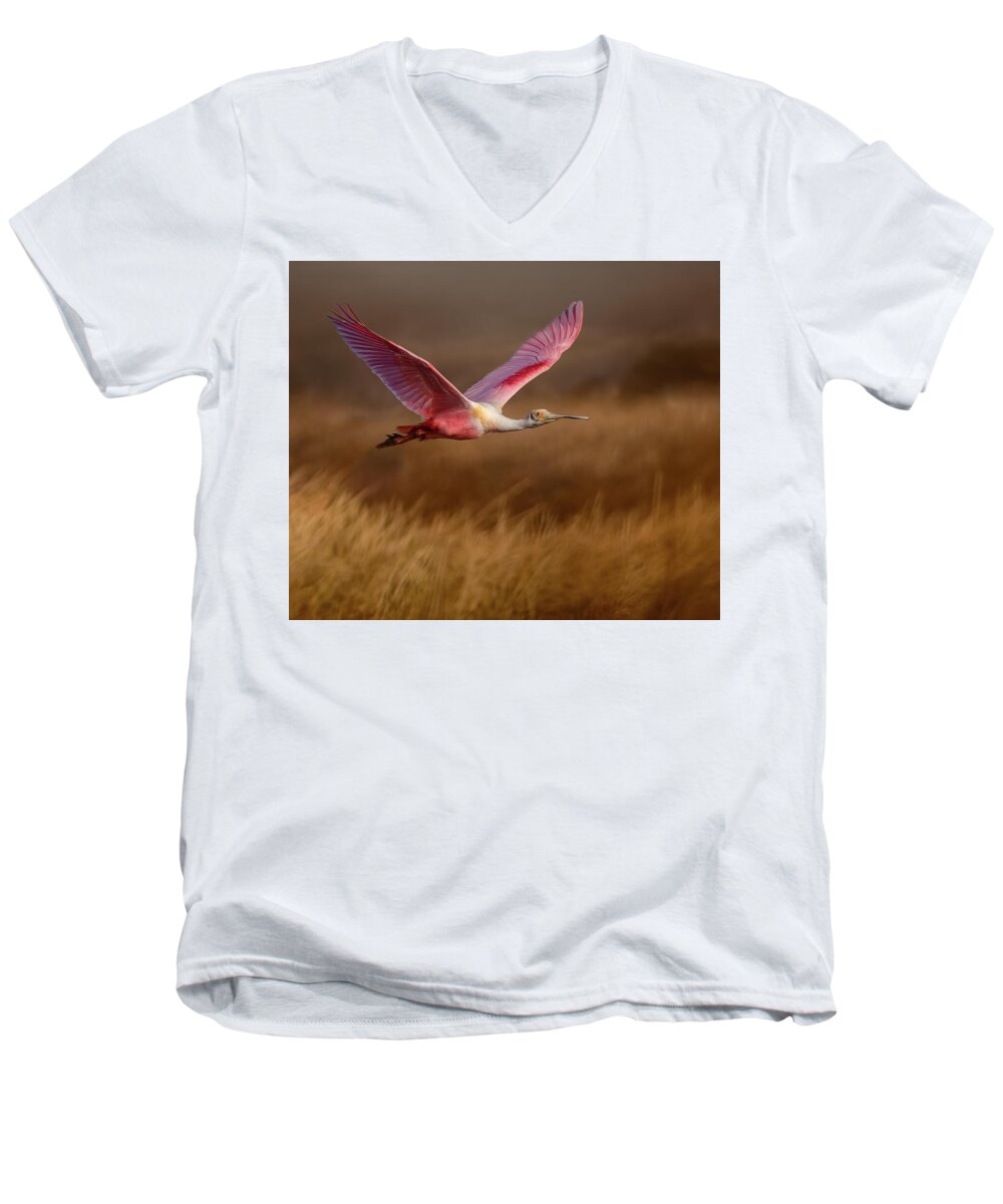 Golden Dream - Men's V-Neck T-Shirt