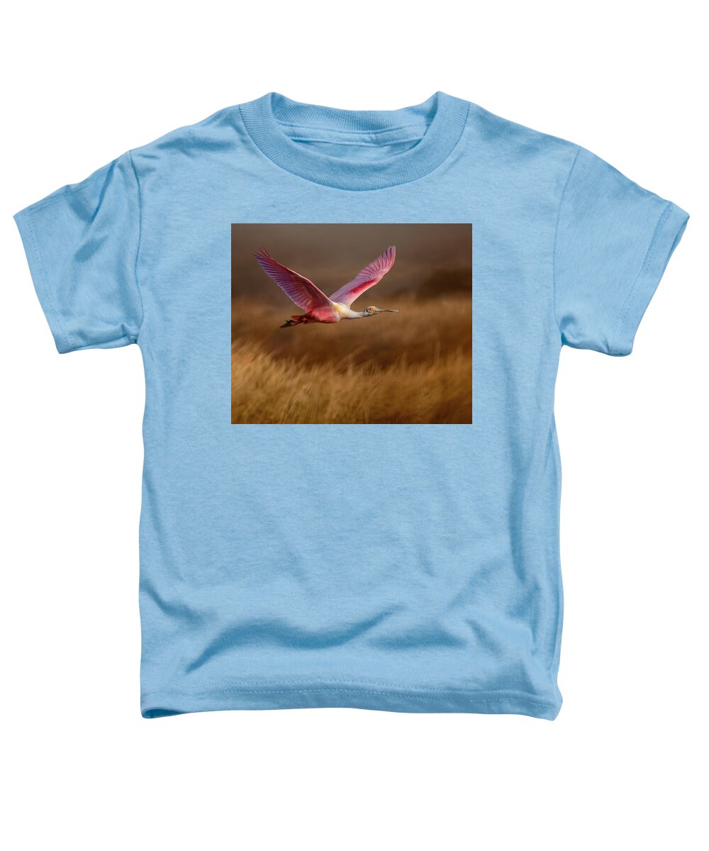 Golden Dream - Toddler T-Shirt