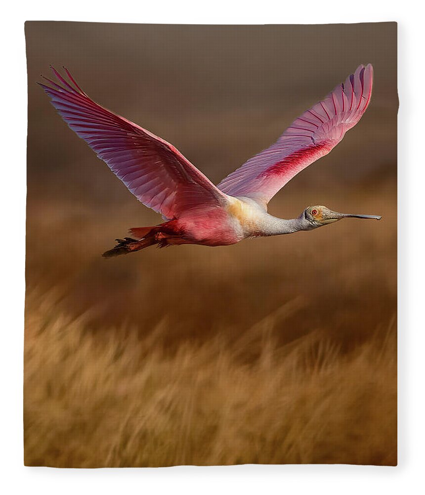 Golden Dream - Blanket