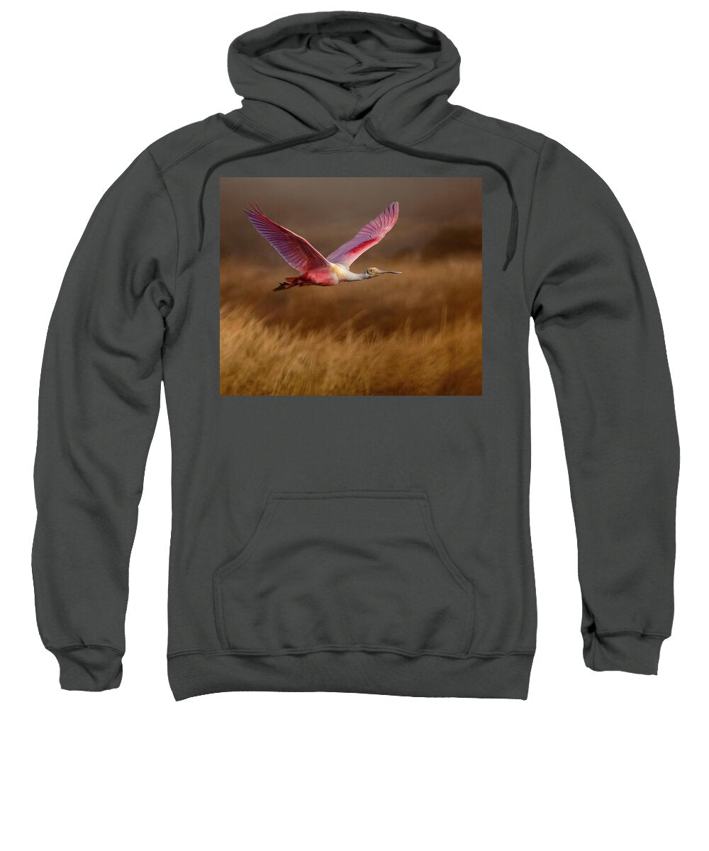 Golden Dream - Sweatshirt
