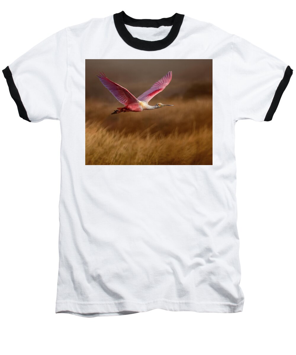 Golden Dream - Baseball T-Shirt