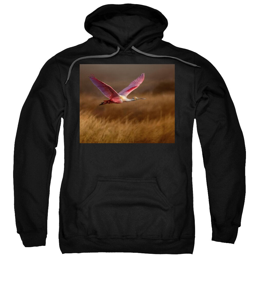 Golden Dream - Sweatshirt