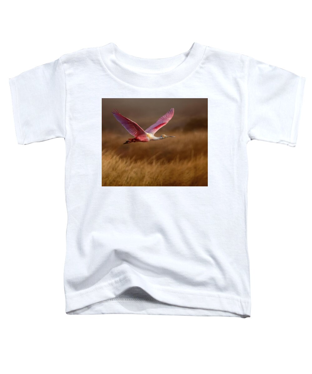 Golden Dream - Toddler T-Shirt