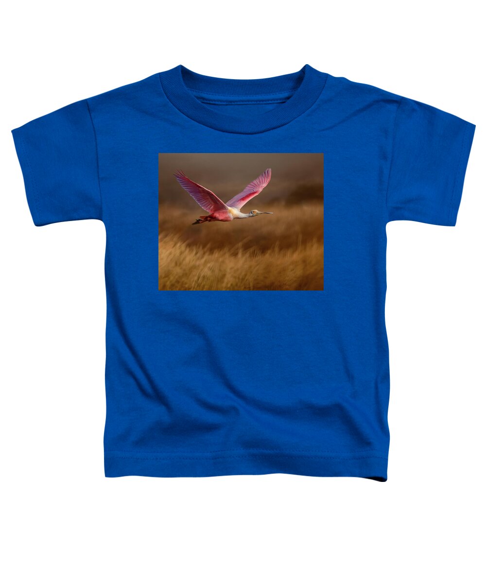 Golden Dream - Toddler T-Shirt