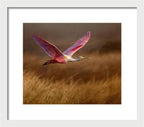 Golden Dream - Framed Print