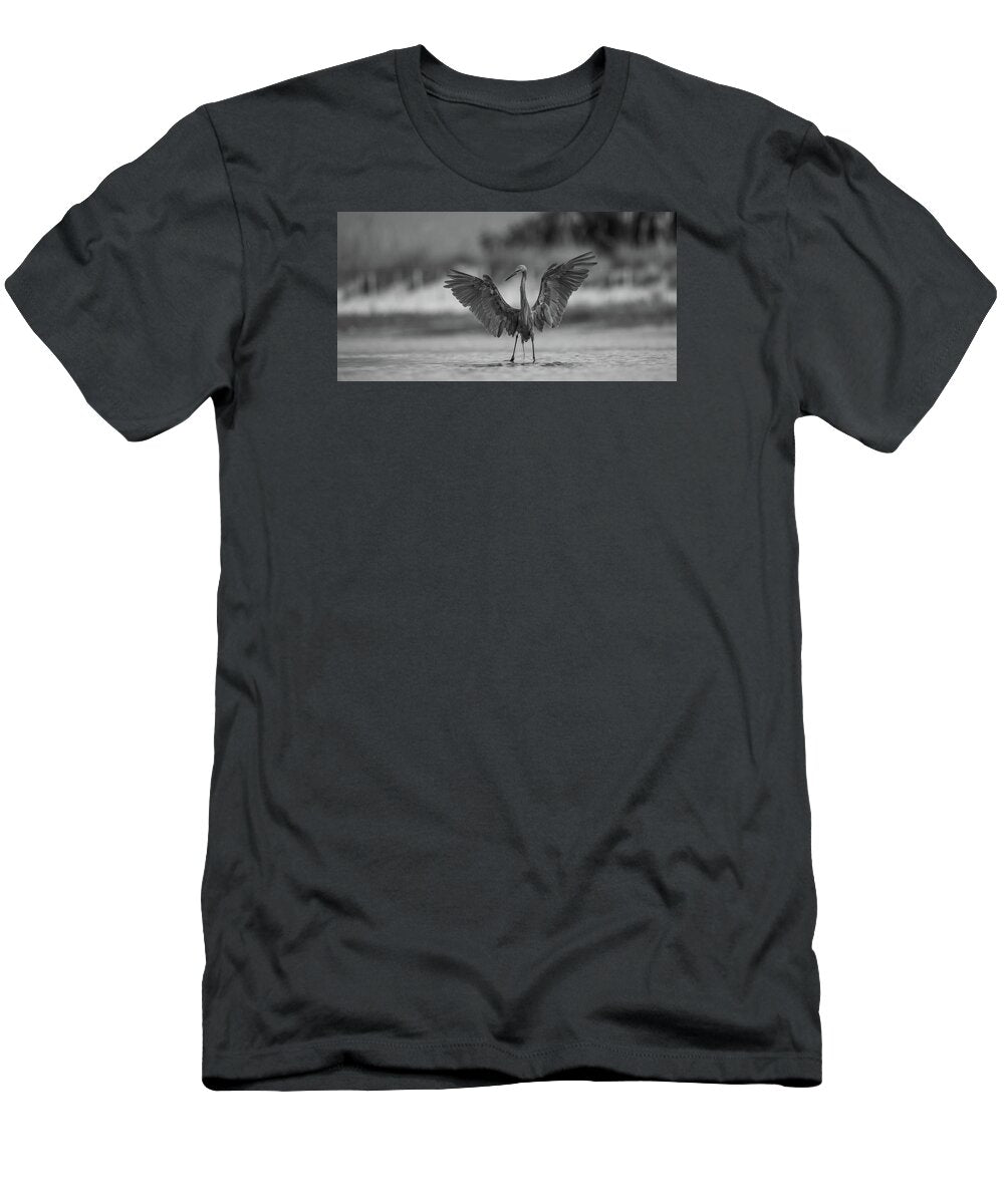 Gray Cathedral - T-Shirt