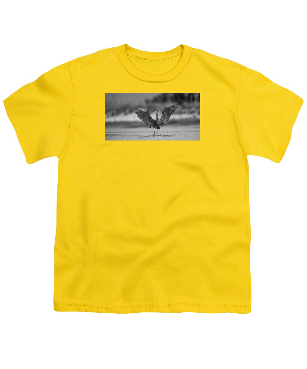 Gray Cathedral - Youth T-Shirt