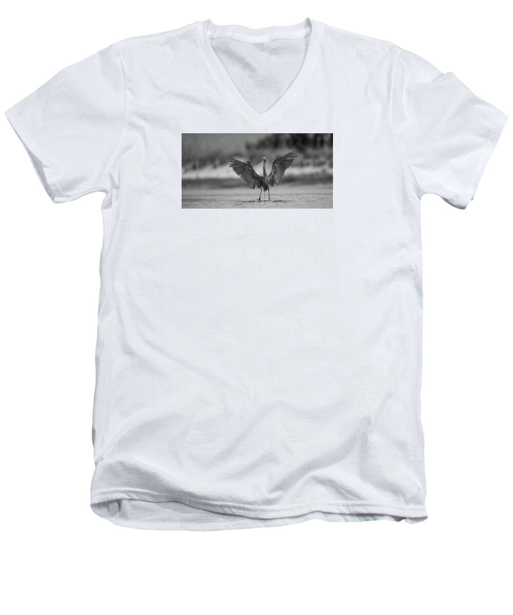 Gray Cathedral - Men's V-Neck T-Shirt