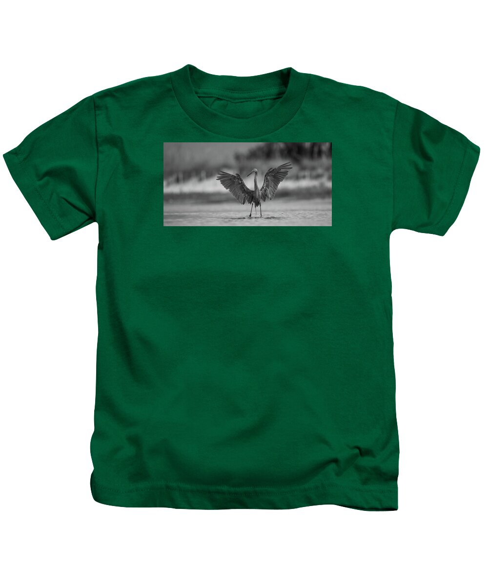 Gray Cathedral - Kids T-Shirt