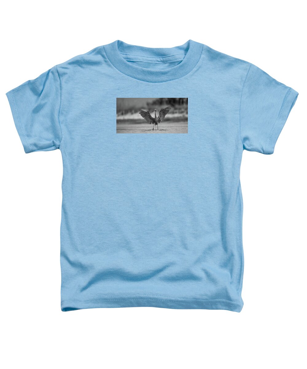 Gray Cathedral - Toddler T-Shirt