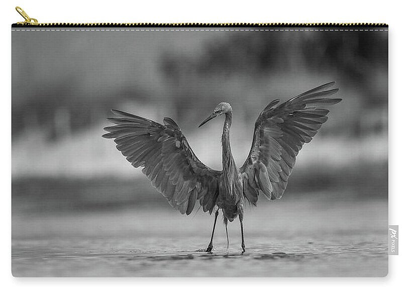 Gray Cathedral - Zip Pouch