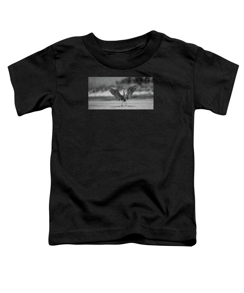 Gray Cathedral - Toddler T-Shirt