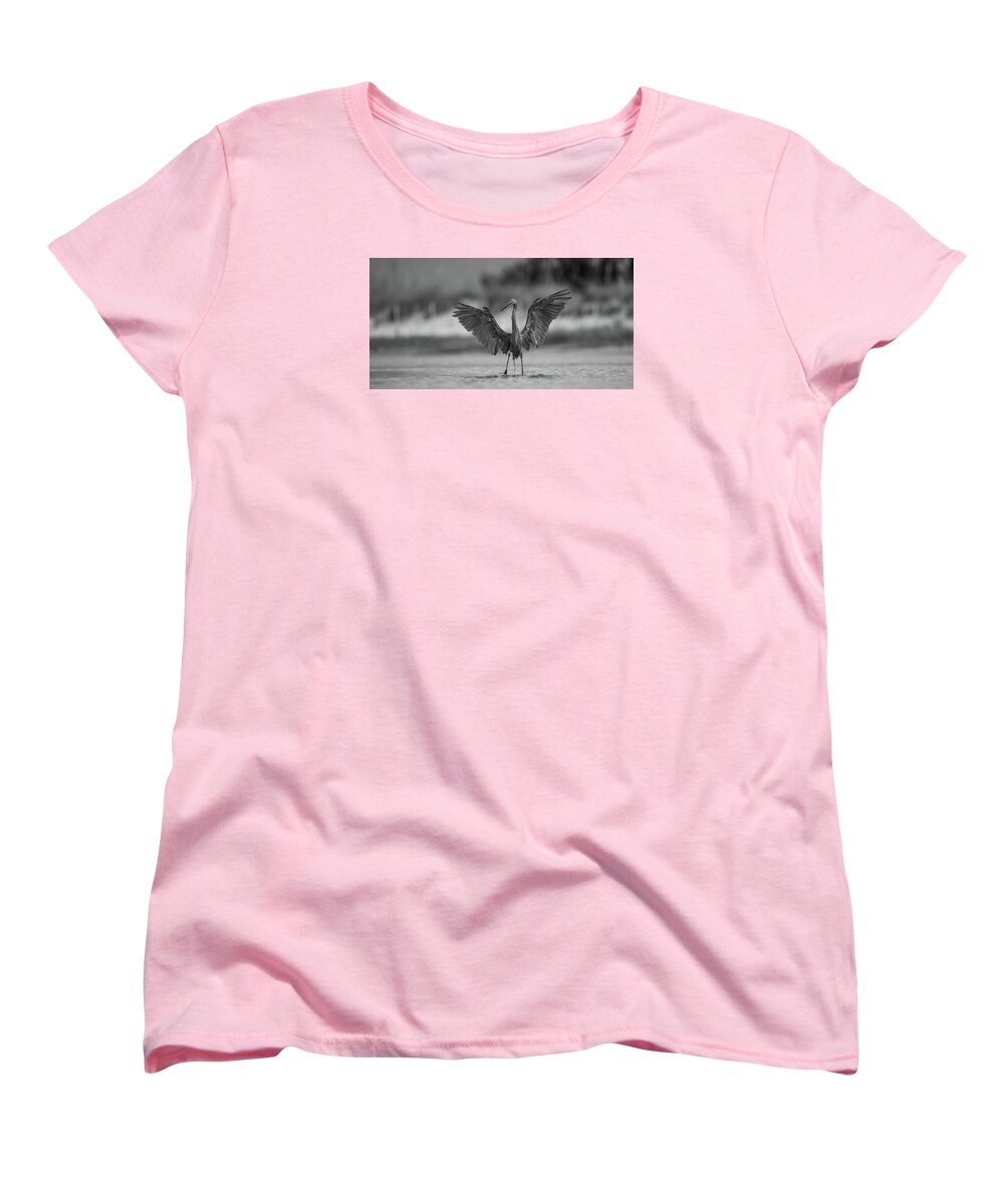Gray Cathedral - Women's T-Shirt (Standard Fit)
